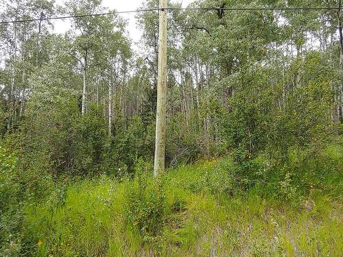 Lot 1 Francois Lake, Vanderhoof, BC 