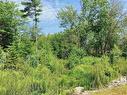 Lot 14 Parkwood Drive, Mill Cove, NS 