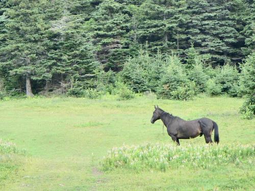 90Ac Meat Cove Road, Meat Cove, NS 