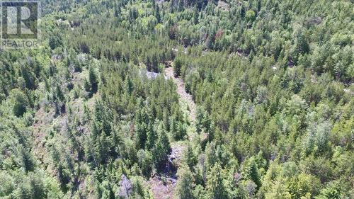 Lot 4 Lower Arrow  Lake, Castlegar, BC 