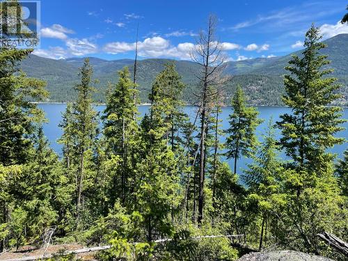 Lot 4 Lower Arrow  Lake, Castlegar, BC 