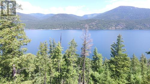 Lot 4 Lower Arrow  Lake, Castlegar, BC 