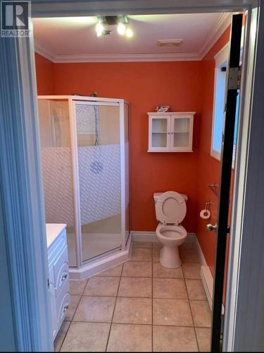 10 Crestview Heights, Marystown, NL - Indoor Photo Showing Bathroom