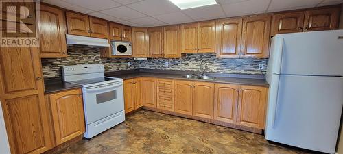 10 Crestview Heights, Marystown, NL - Indoor Photo Showing Kitchen With Double Sink