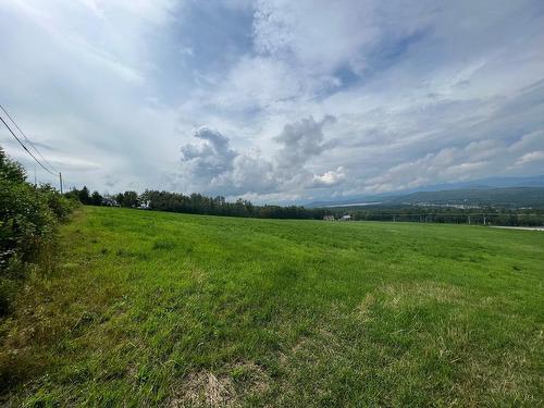 Terre/Terrain - Rg Du Ruisseau-Des-Frênes, La Malbaie, QC 