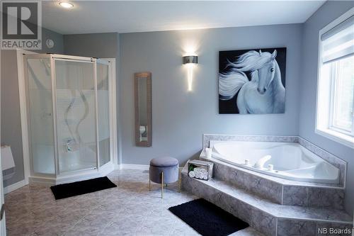 70 River Road, Grand-Sault/Grand Falls, NB - Indoor Photo Showing Bathroom