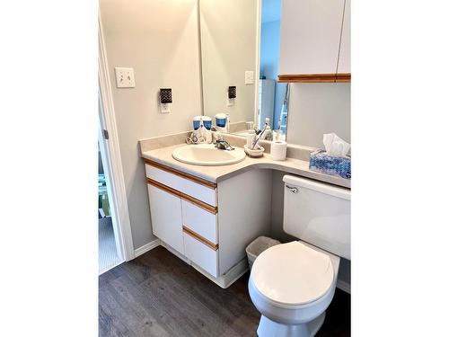 3 - 2210 Columbia Avenue, Castlegar, BC - Indoor Photo Showing Bathroom