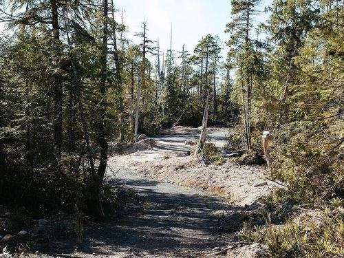 Lot 2 Ittatsoo Bay, Ucluelet, BC 