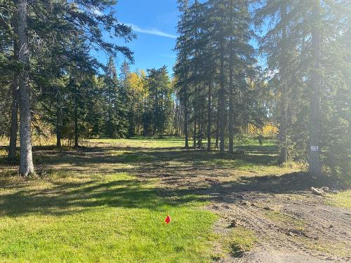 201 High Timber Place, Rural Clearwater County, AB, T4T 1A7 - vacant ...