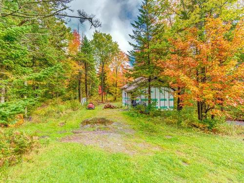 Land/Lot - 680 Route 161, Saints-Martyrs-Canadiens, QC - Outdoor