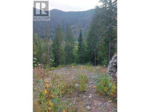 2345 Sheep Crk Frst Road, Salmo, BC 