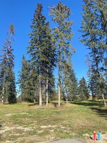 313 Valley View Drive, Rural Clearwater County, AB 
