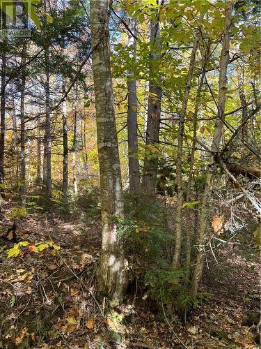 Lot Scotch Settlement Road, Irishtown, NB 