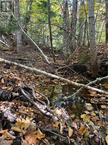 Lot Scotch Settlement Road, Irishtown, NB 