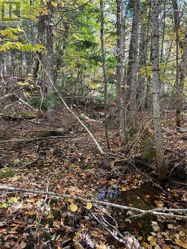 Lot Scotch Settlement Road, Irishtown, NB 