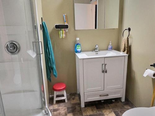 Salle de bains - 613 Route 101, Saint-Édouard-De-Fabre, QC - Indoor Photo Showing Bathroom