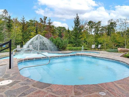 Piscine - 10-205 Rue Du Mont-Plaisant, Mont-Tremblant, QC - Outdoor With In Ground Pool With Backyard