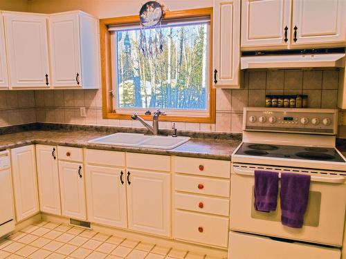 1 Bait & Tackle Road, Nestor Falls, ON - Indoor Photo Showing Kitchen With Double Sink