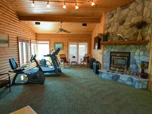 60 Marsh Bay Road, Nestor Falls, ON - Indoor With Fireplace