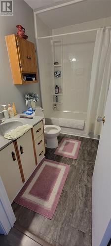 6-8 Atlantic Street, Marystown, NL - Indoor Photo Showing Bathroom