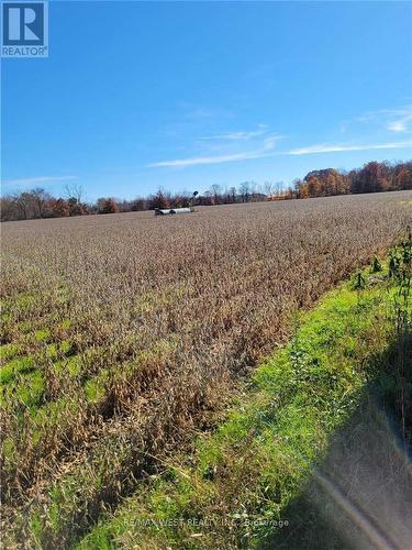52161 Willford Road, Wainfleet, ON - Outdoor With View