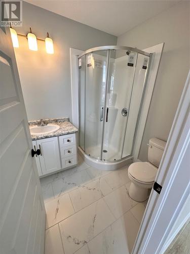 9 Canary Place, Paradise, NL - Indoor Photo Showing Bathroom