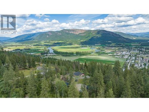 47 Twin Lakes Road, Enderby, BC - Outdoor With View