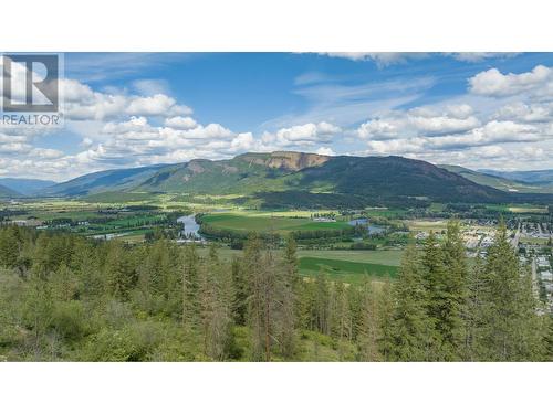 47 Twin Lakes Road, Enderby, BC - Outdoor With View