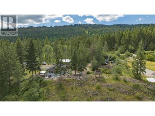 47 Twin Lakes Road, Enderby, BC - Outdoor With View