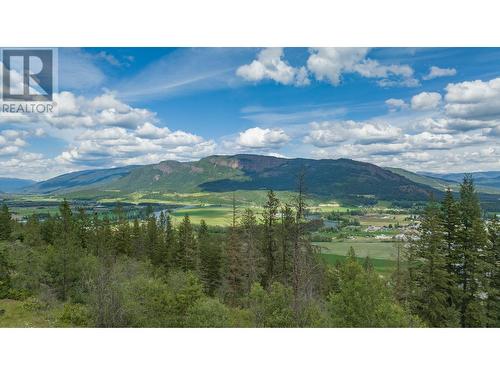 47 Twin Lakes Road, Enderby, BC - Outdoor With View