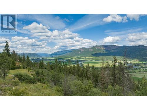 47 Twin Lakes Road, Enderby, BC - Outdoor With View