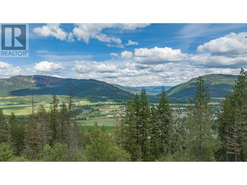 47 Twin Lakes Road, Enderby, BC - Outdoor With View