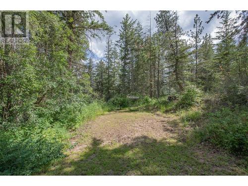 47 Twin Lakes Road, Enderby, BC - Outdoor