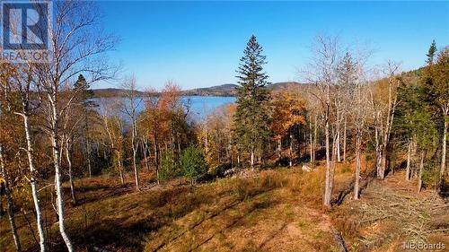 Lot 2021-02 Frye Road, Chamcook, NB 