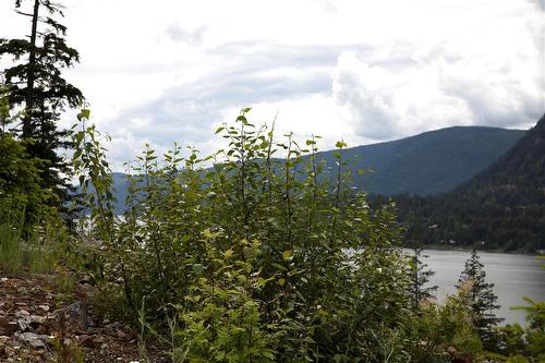 278 Bayview Drive, Sicamous, BC 
