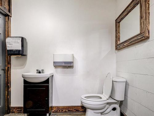 Salle d'eau - 251 Ch. D'Alençon, Boucherville, QC - Indoor Photo Showing Bathroom