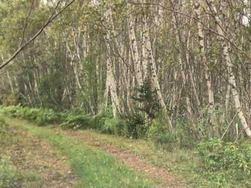 Lot 6 Eagles View Lane, Malpeque, PE 