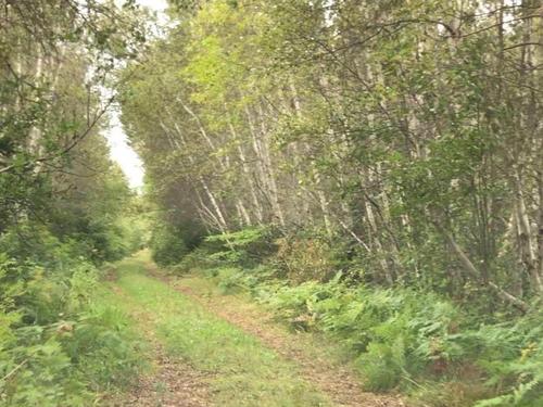 Lot 6 Eagles View Lane, Malpeque, PE 