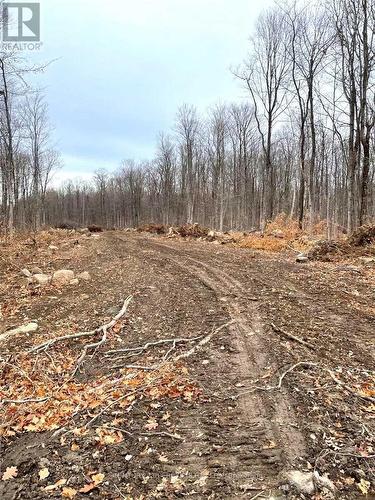 Lot F1 Nippissing Ridge Road, Tiny, ON 