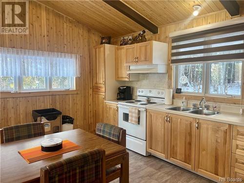 3123 Route 385, Riley Brook, NB - Indoor Photo Showing Kitchen With Double Sink