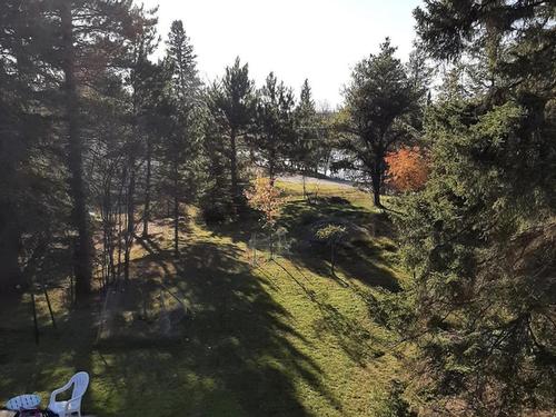 217 Riverview Drive, Dryden, ON - Outdoor With View