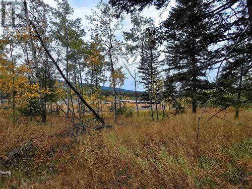 Lot 31 Blackstock Road, 100 Mile House, BC 