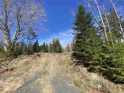 Lot 22-3 226 Brookville Branch Road  Bridgeville, NS B2H 5C7