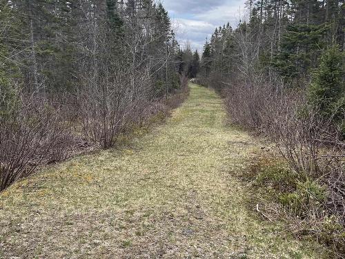 Lot 5F Highway 329, East River, NS 