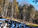 Land/Lot - Ch. Rustique, Morin-Heights, QC 