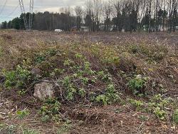 Land/Lot - 