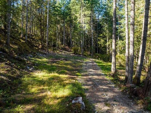 400 Baker Rd, Salt Spring, BC - Outdoor With View