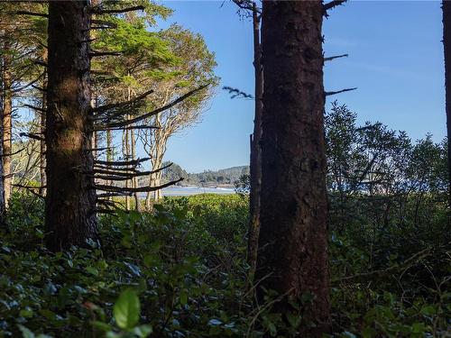 1333 Chesterman Beach Rd, Tofino, BC 