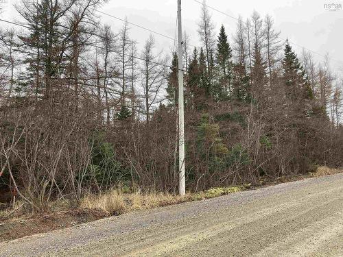 Lot 2022-1 Country Harbour Road, Cross Roads Country Harbour, NS 