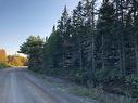 Lot 2022-2 Country Harbour Road, Cross Roads Country Harbour, NS 